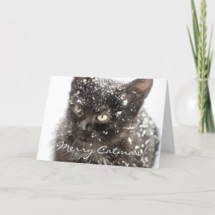 Festiva Tarjeta de saludo de Navidades de Gato de Feliz Na