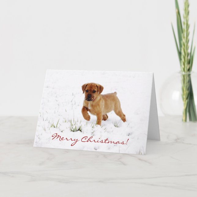 Festiva Tarjeta de saludo de Navidades de perro de cachorr (Anverso)