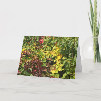 Festiva Tarjeta de saludo de otoño