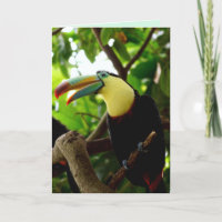 tarjeta de saludo de pájaro toscano