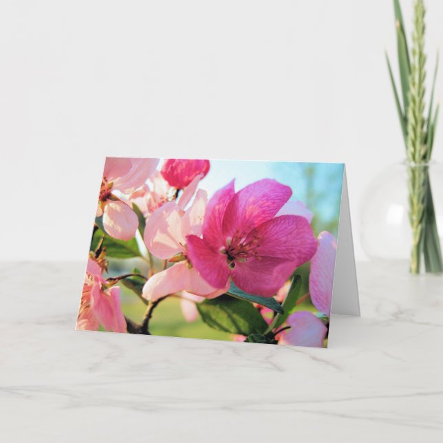 Festiva Tarjeta de saludo de Pascua con flores de primaver (Anverso)