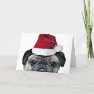 Festiva tarjeta de saludo de pug de navidades