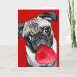 Festiva tarjeta de saludo de pug el día de San Valentín