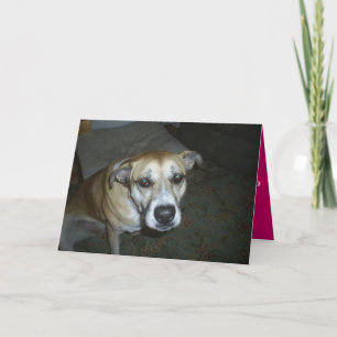 Festiva Tarjeta de saludo de todas las ocasiones de perro 