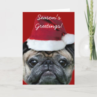 Festiva Tarjeta de saludo del pug de los saludos de tempor