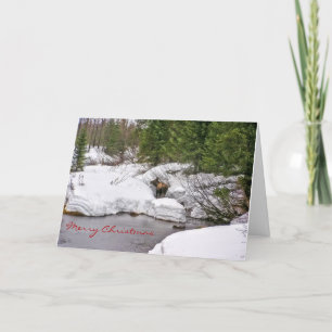 Festiva Tarjeta de saludo Moose in Snow