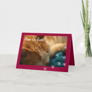 Festiva Tarjeta de saludo: Navidades Cat Nap Ephesian