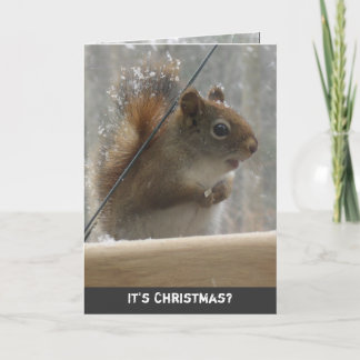 Festiva Tarjeta de saludo para Navidades de ardilla roja