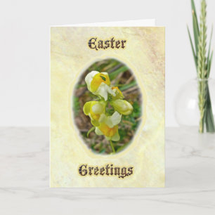 Festiva Tarjeta de saludos de Pascua Butter 'n Eggs