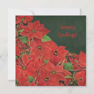 Festiva Tarjeta de saludos de temporada de Poinsettia Roja