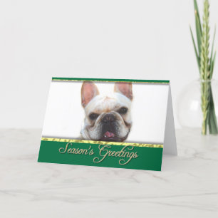 Festiva Tarjeta de salutación de perro francés de raza bul