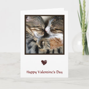 Festiva Tarjeta de San Valentín de amor de gato