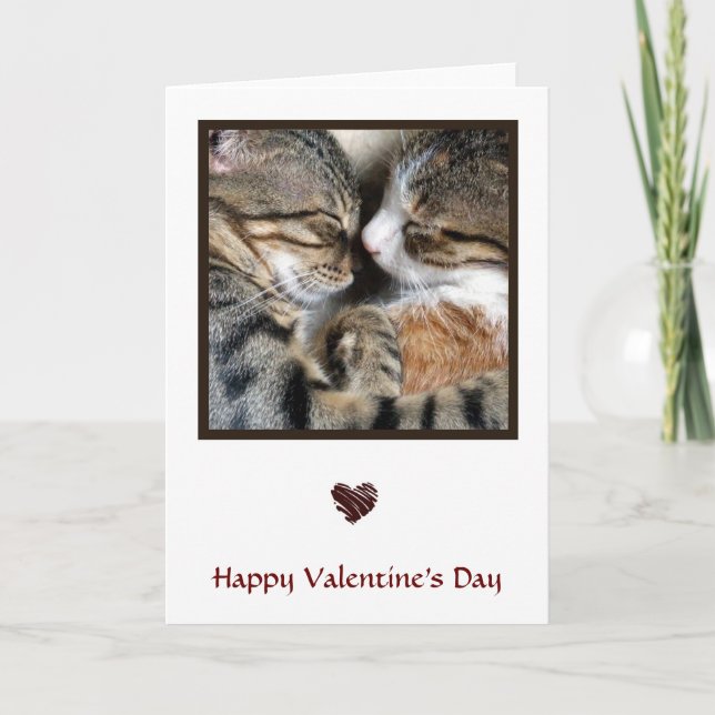 Festiva Tarjeta de San Valentín de amor de gato (Anverso)