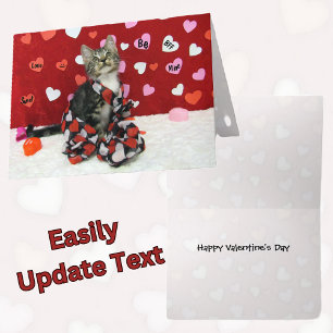 Festiva Tarjeta de San Valentín de Bandit - Gato / Gatito