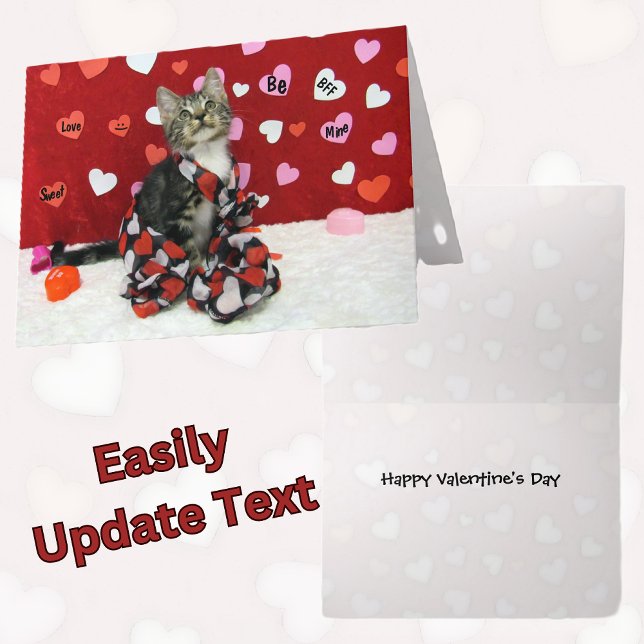 Festiva Tarjeta de San Valentín de Bandit - Gato / Gatito (Subido por el creador)