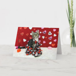 Festiva Tarjeta de San Valentín de Bandit - Gato / Gatito