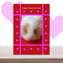Tarjeta de San Valentín de cerdo de Guinea infanti