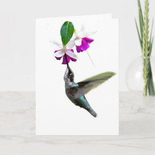 Festiva Tarjeta de San Valentín de Hummingbird