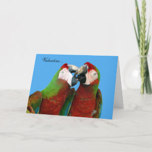 Festiva Tarjeta de San Valentín de loro