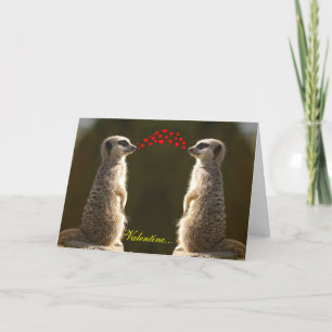 Festiva Tarjeta de San Valentín Meerkat 003