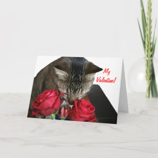 Festiva Tarjeta de San Valentín para gatos y Rosas