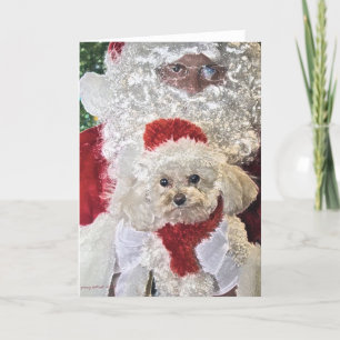 Festiva Tarjeta de Santa y del caniche