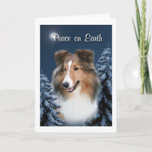 Festiva Tarjeta de Sheltie de la paz