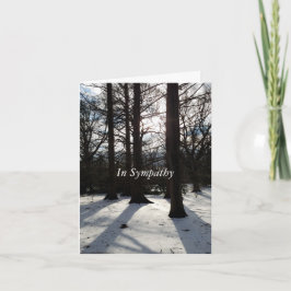 Festiva Tarjeta de simpatía árboles de invierno a la luz d