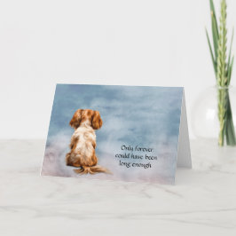 Festiva Tarjeta de simpatía Cavalier King Charles Spaniel