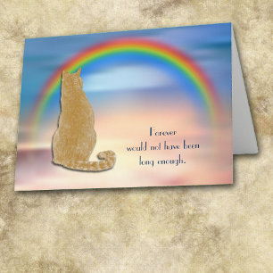 Festiva Tarjeta de simpatía con el arco iris del gato del 