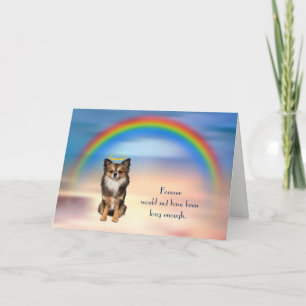 Festiva Tarjeta de simpatía con el arcoiris Chihuahua por