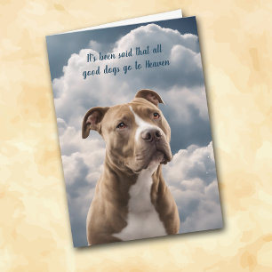 Festiva Tarjeta de simpatía del cielo de Pitbull