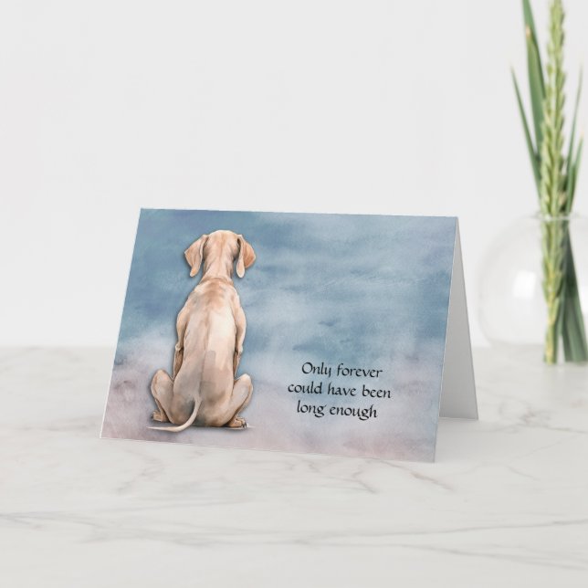 Festiva Tarjeta de simpatía para perros de Weimaraner (Anverso)
