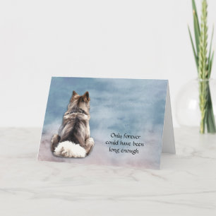 Festiva Tarjeta de simpatía para perros Keeshond