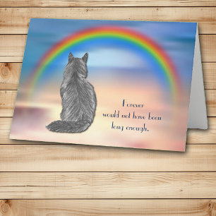 Festiva Tarjeta de solidaridad con el arco iris del gato g