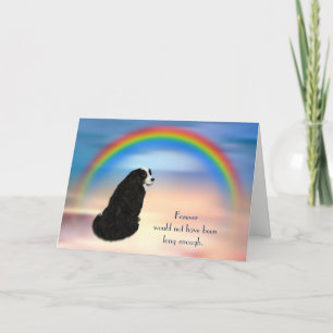 Festiva Tarjeta de solidaridad con el arcoiris de perro de