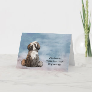 Festiva Tarjeta de solidaridad Shih Tzu Perg Perdida