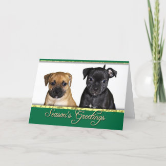 Festiva Tarjeta de Staffordshire bull terrier de los