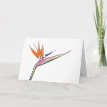 Tarjeta de Strelitzia