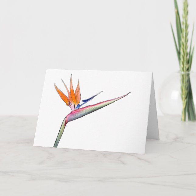 Festiva Tarjeta de Strelitzia (Anverso)