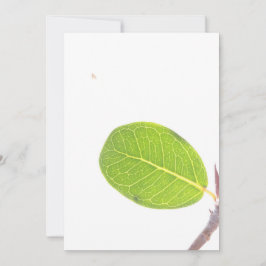 Festiva Tarjeta de textura de hoja verde rica en higo silv
