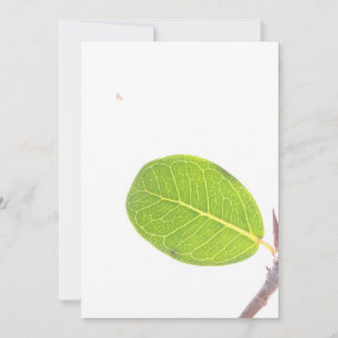 Festiva Tarjeta de textura de hoja verde rica en higo silv