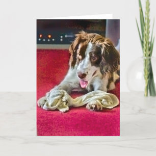 Festiva Tarjeta de tiempo de espera de reproducción