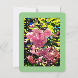 Festiva Tarjeta de todas las ocasiones, tamaño: 4,25" x 5,