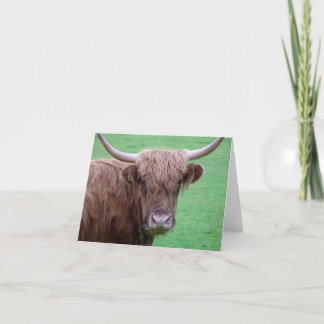 Festiva Tarjeta de vaca Highland