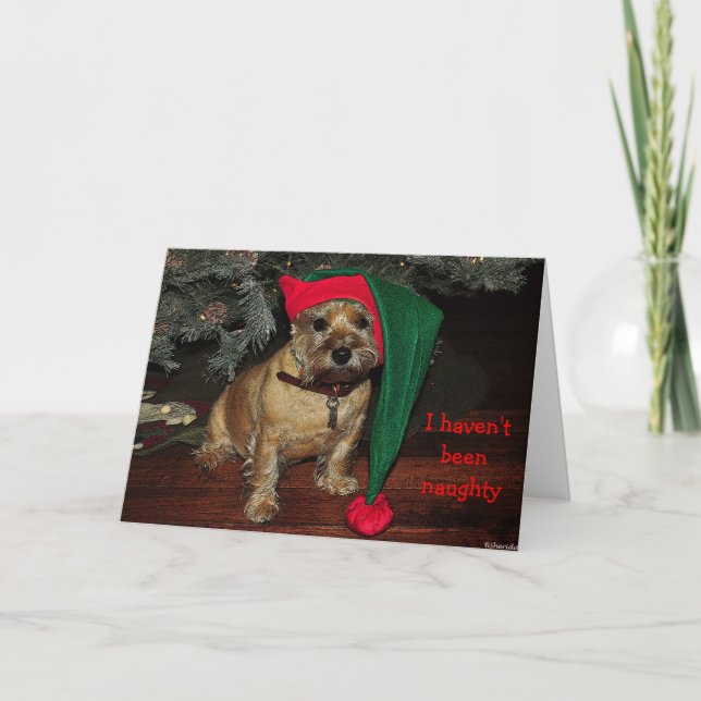 Festiva Tarjeta de vacaciones Cairn Terrier (Anverso)