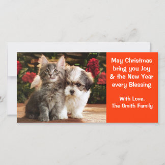 Festiva Tarjeta de vacaciones de cachorros y gatitos