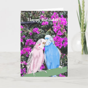 Festiva Tarjeta de vacaciones de cumpleaños de Budgerigar 