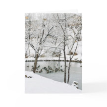 tarjeta de vacaciones de estanque de invierno