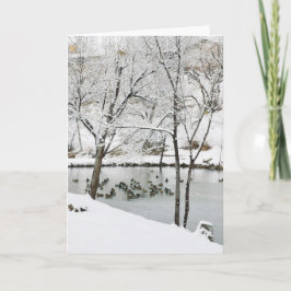 Festiva tarjeta de vacaciones de estanque de invierno